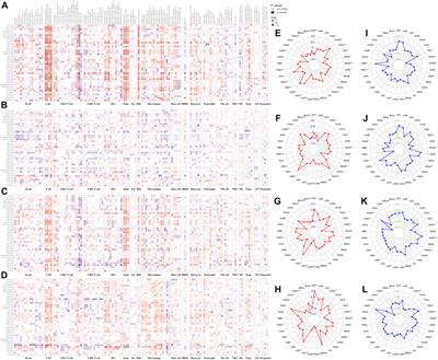 Identification of immune biomarkers associated with basement membranes in idiopathic pulmonary fibrosis and their pan-cancer analysis